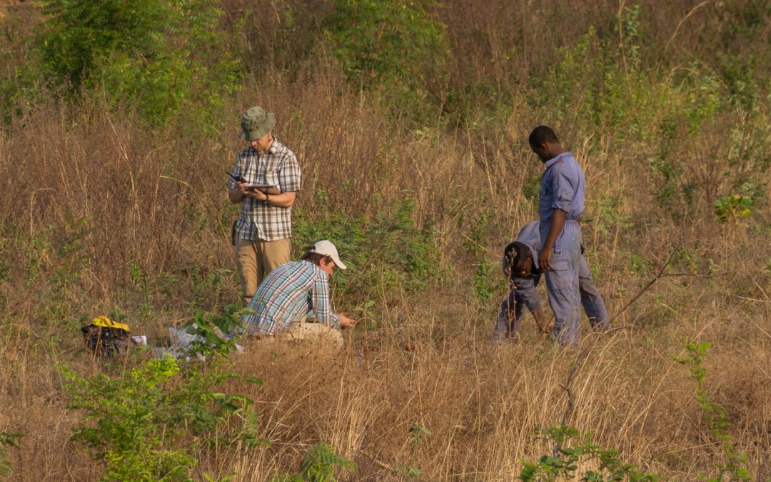 Farmprojekt in Okene (Nigeria) 2018